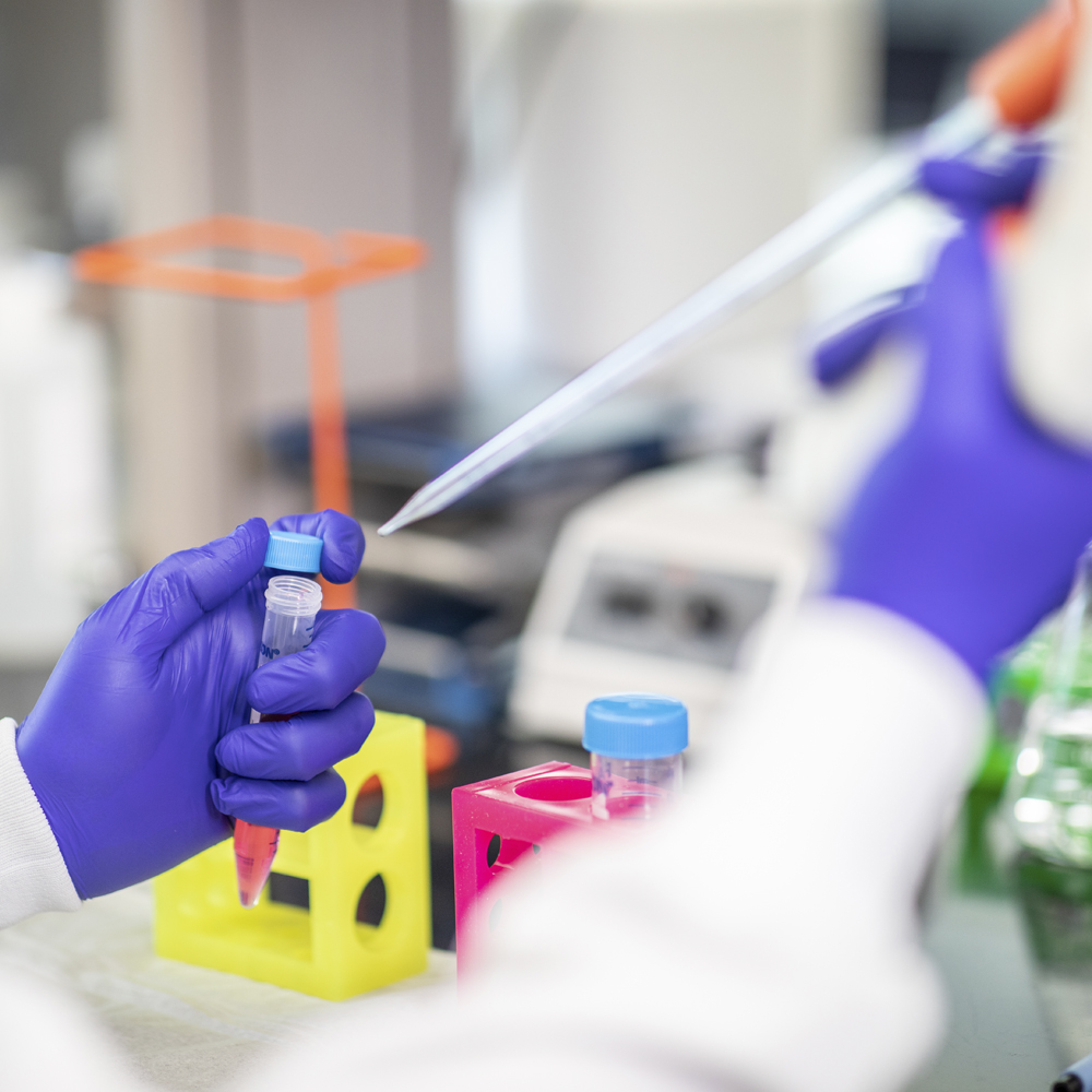 Person pipetting liquid into a test tube in a lab