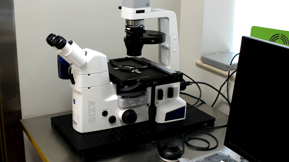 Zeiss microscope redo