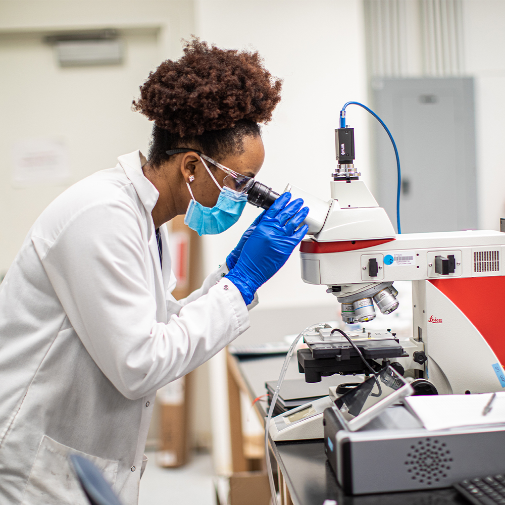 Woman in laboratory looking through a microscope 