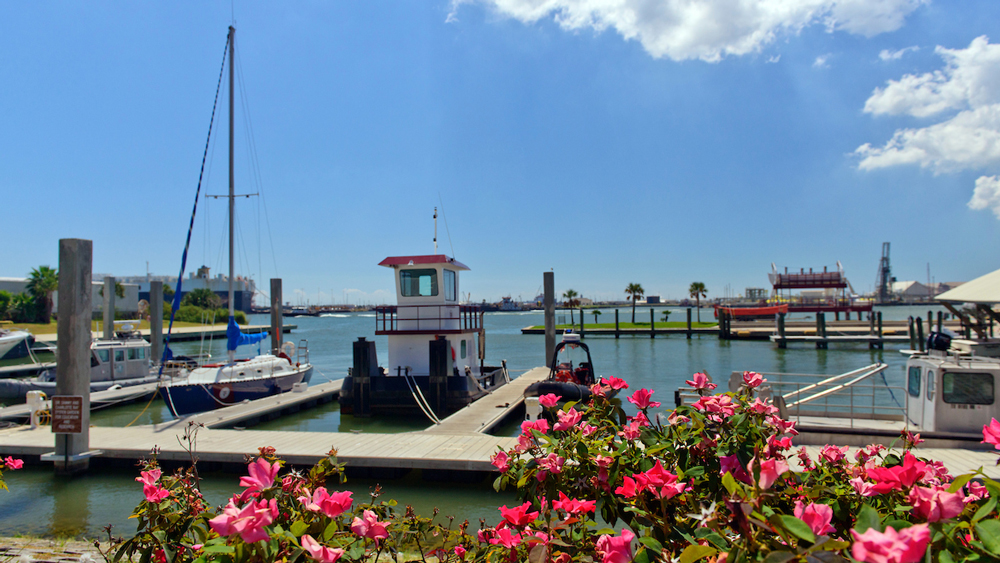 Several small docked boats in water.