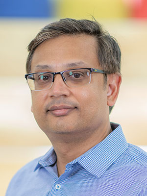 Krishna Narayanan