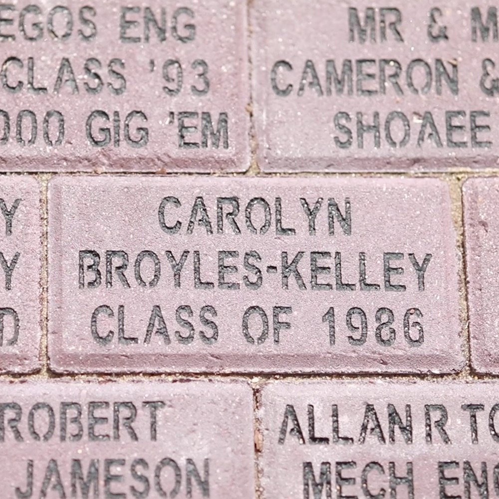 Bricks on Engineering Walk