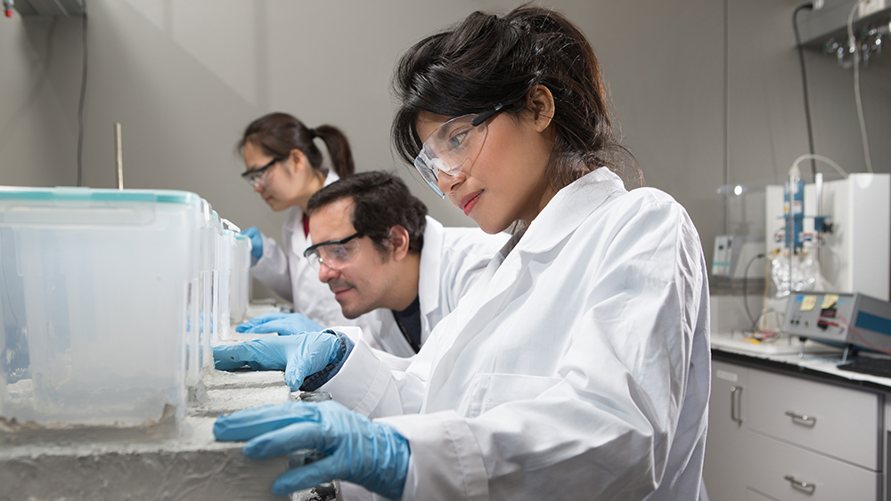 Students experimenting in the lab