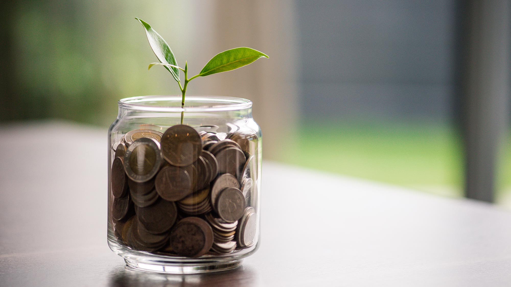 Jar of change with plant sprout in top