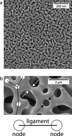 nanoporous gold