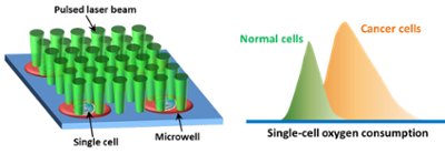 Graphic of oxygen absorption rate imaging