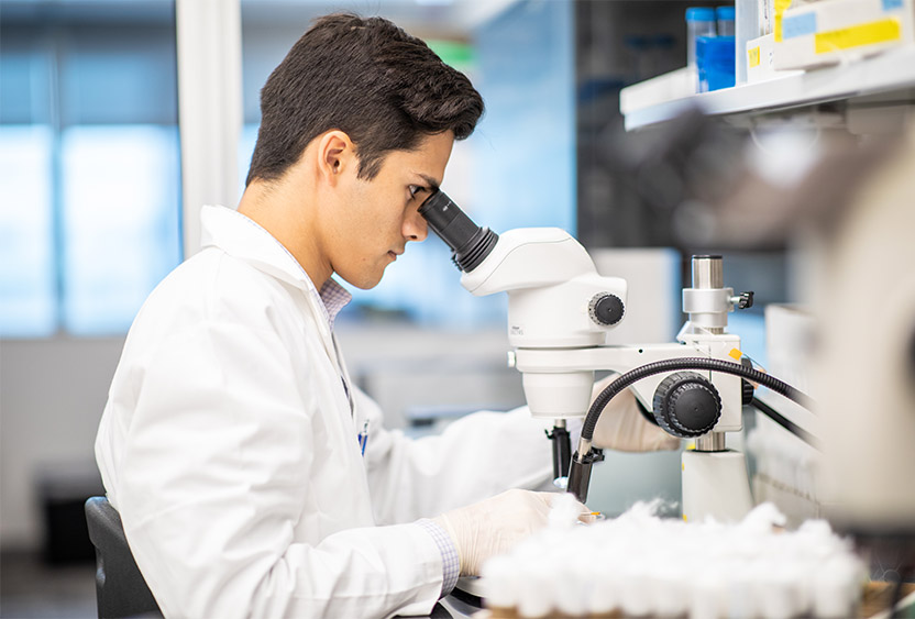 Nathan Bliss uses a microscope in a lab