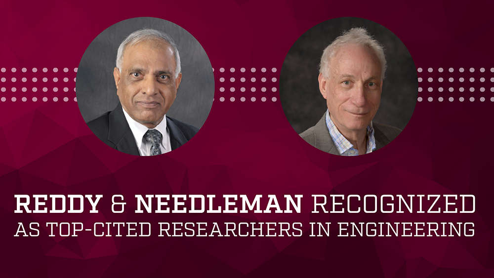 JN Reddy and Alan Needleman