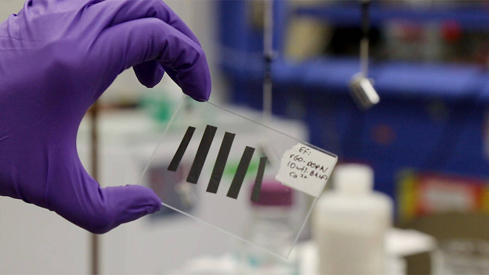 Student holds samples of new electrodes