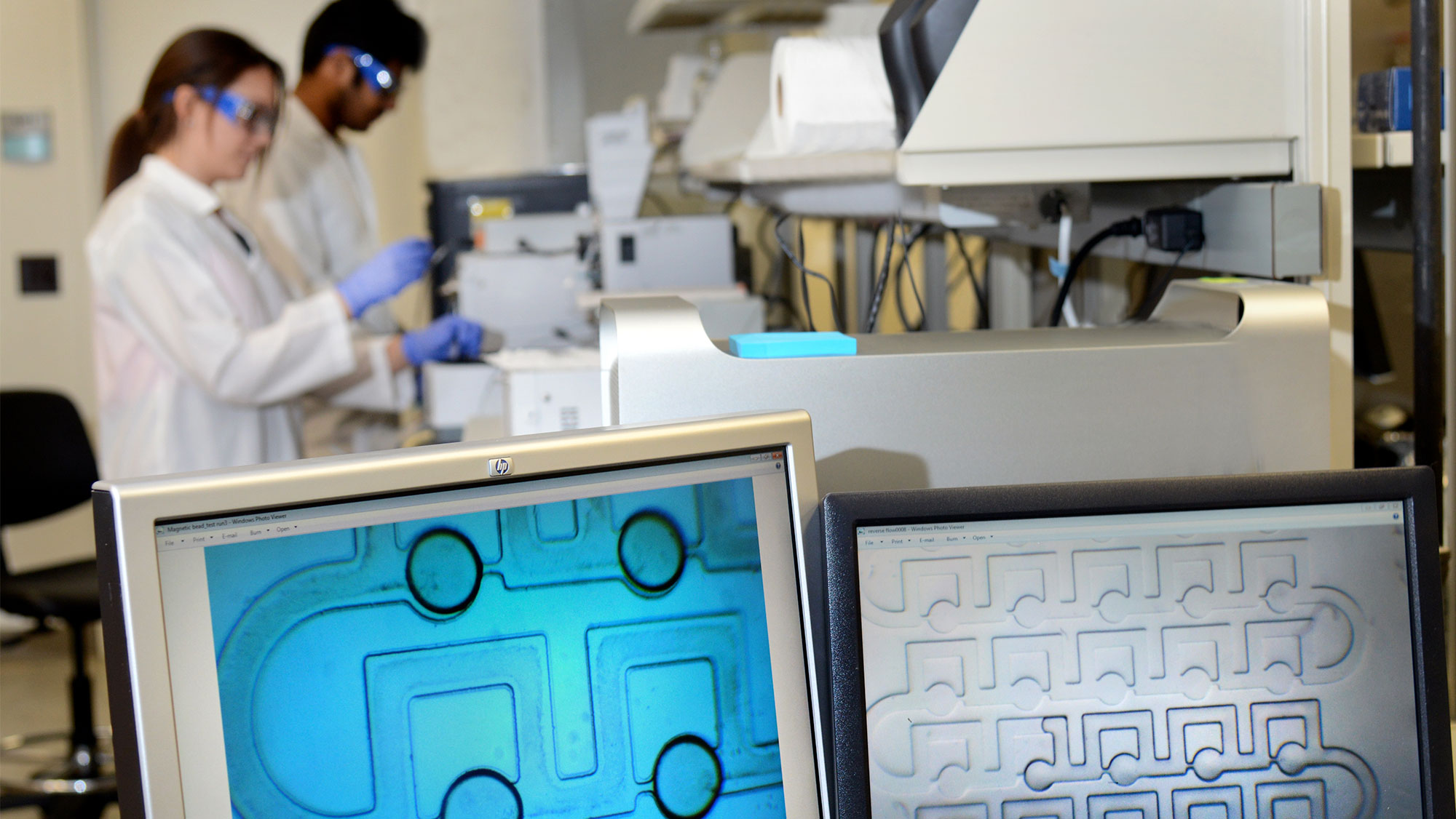 Students working in a lab