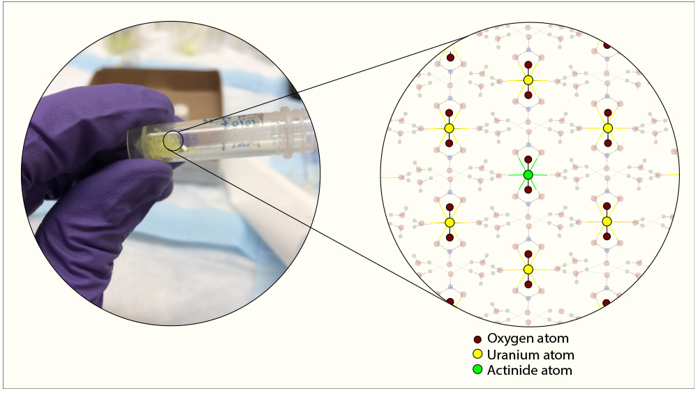 Zoomed-in view of the crystal structure of uranium. Uranium atoms are shown in yellow and those of other actinides in green. Oxygen atoms are brown,