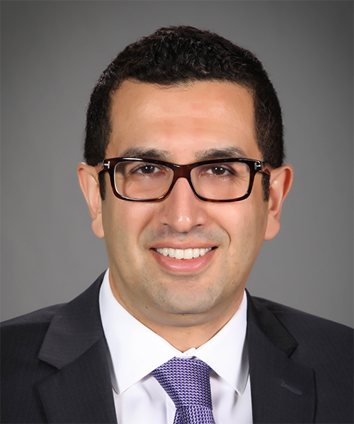 Dr. Roozbeh Jafari