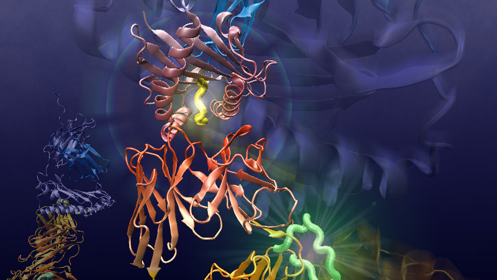 Computational simulation showing colorful strands representing different part of T-cell, cell interaction.