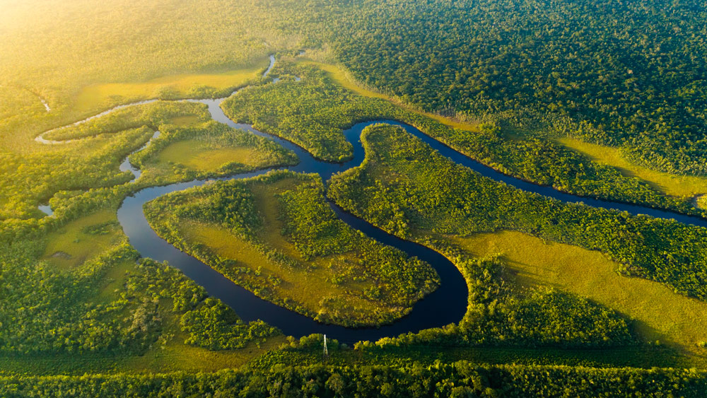 A winding river basin surrounded by a green landscape