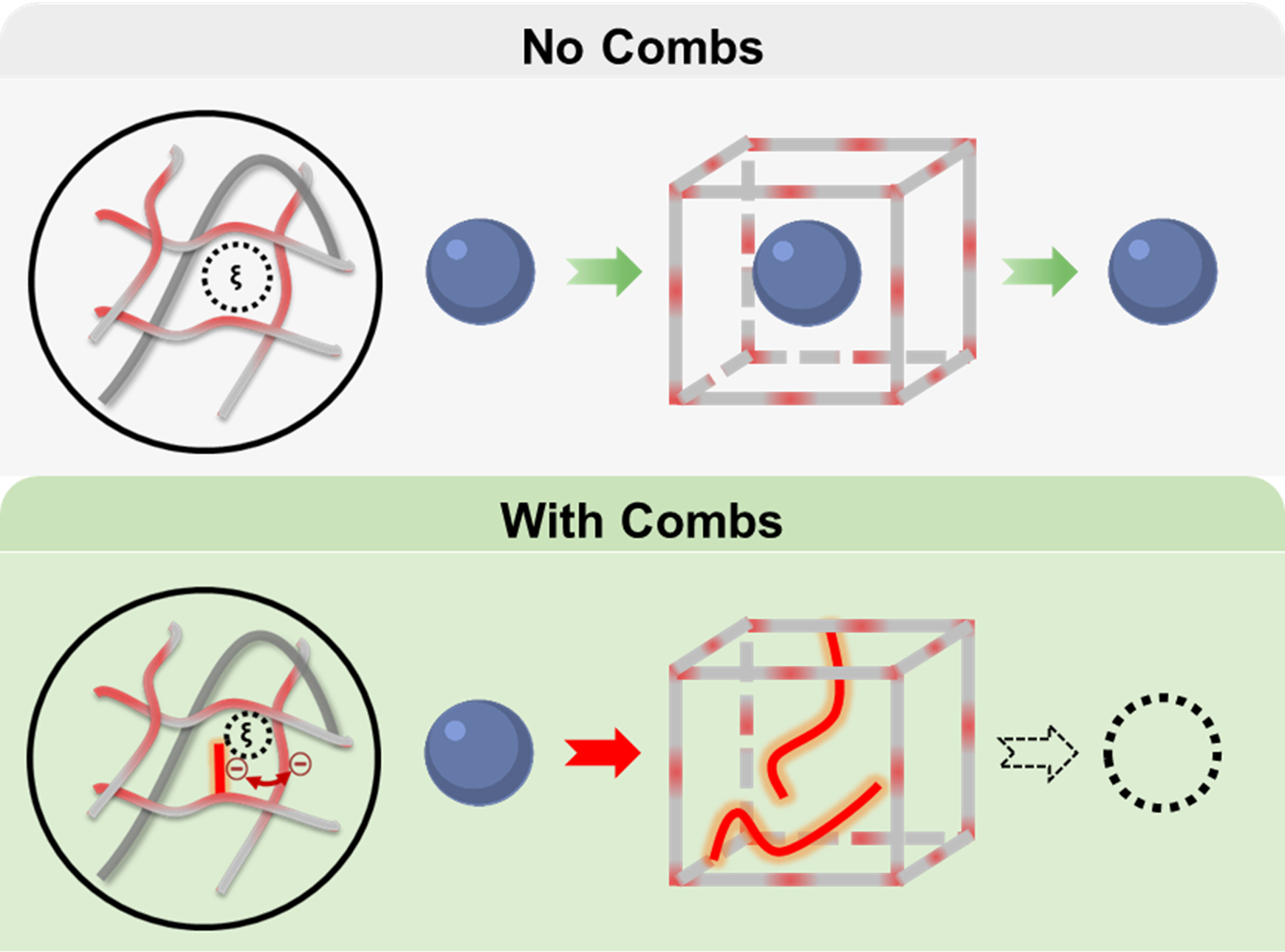 Comb-like molecules within the meshes of the hydrogel prevent small molecules, like glucose-sensing assays, from leaking out.  