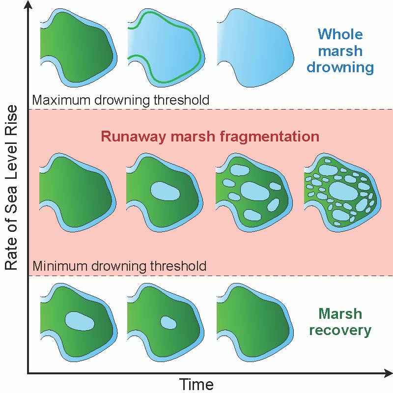 A graphical depiction of how a marsh recovers, drowns or fragments and drowns