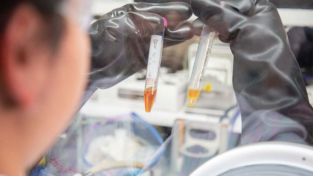 Two gloved hands are holding vials of chemicals inside a nuclear glove box. 