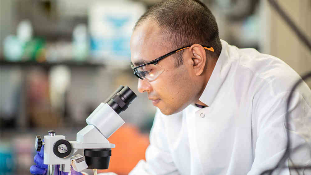 Student looking through microscope in lab