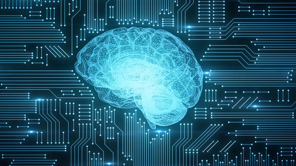 An illustration of a brain on a silicon chip.