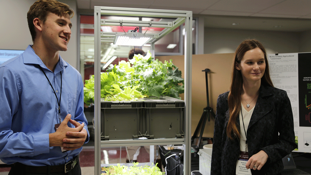 Man and woman presenting their plant project.