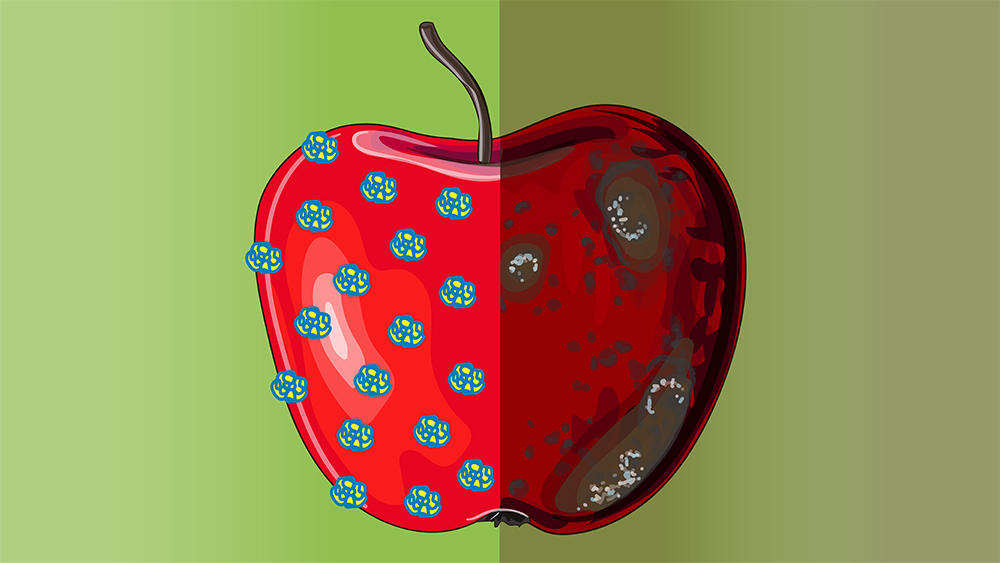 A graphic illustration of an apple demonstrating a wax coating.