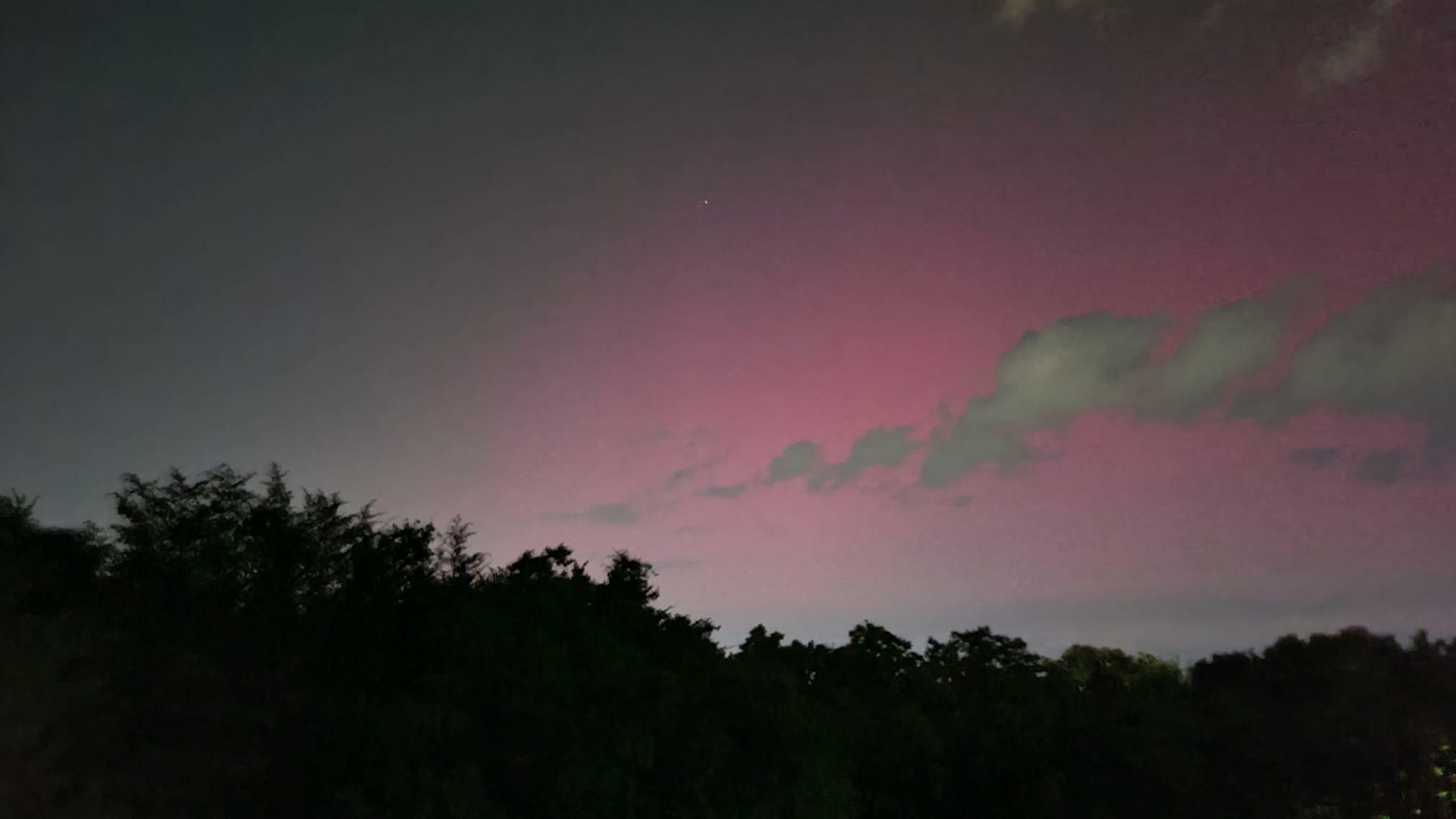 Twilight sky with pink and blue hues over a silhouette of trees.