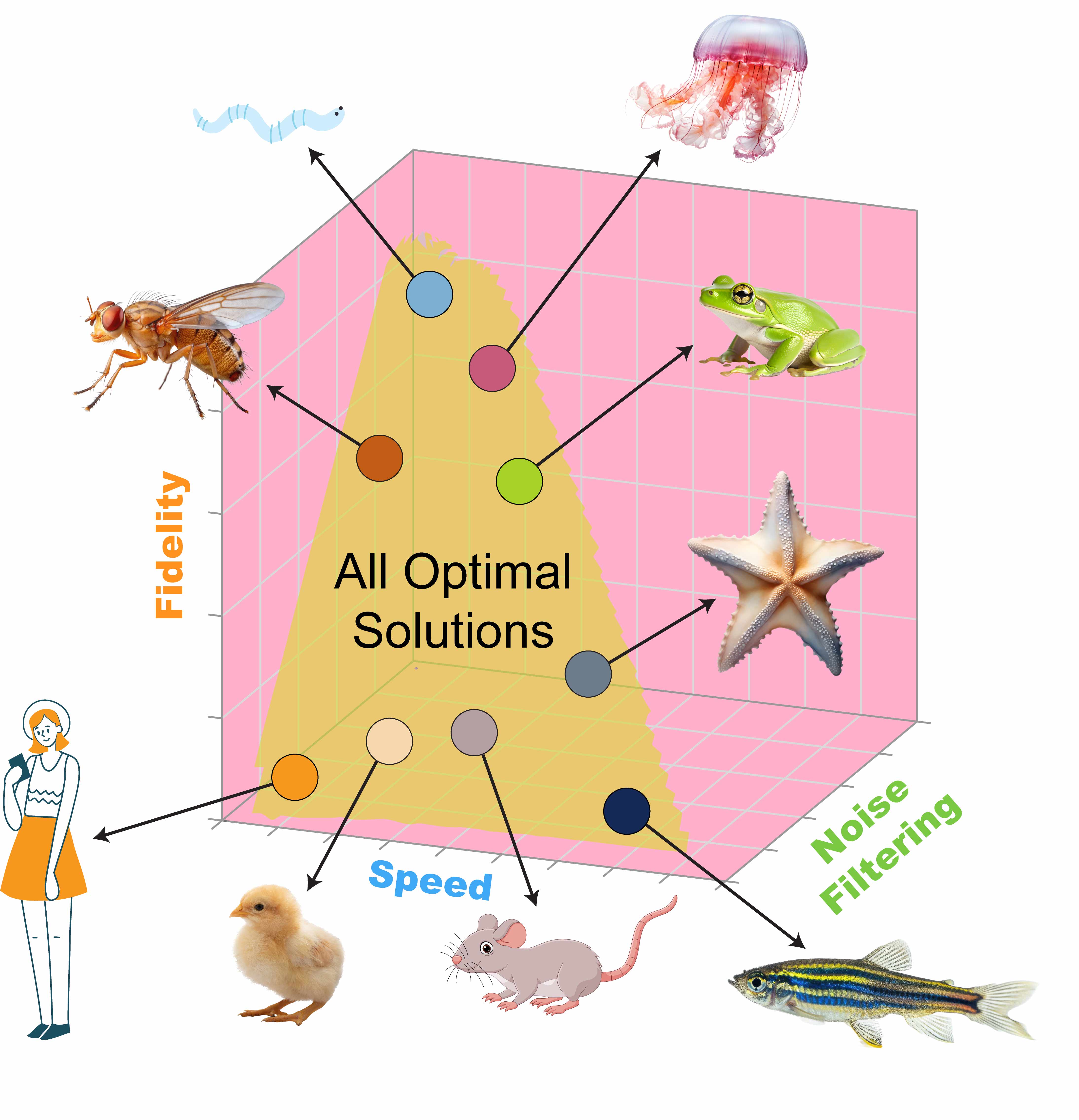 Illustrative diagram showing a pyramid labeled All Optimal Solutions with three axes: Fidelity, Speed, and Noise Filtering. Various animals like a bee, jellyfish, chicken chick, rat, frog, and starfish are placed around the pyramid to represent different points in the solution space. A human figure is also present near the Speed axis.