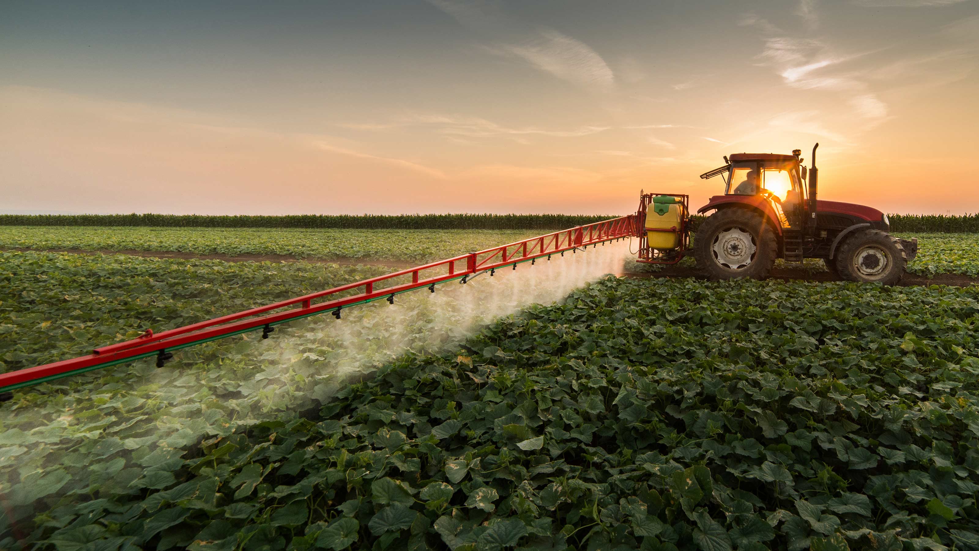 A tractor irrigating crops.